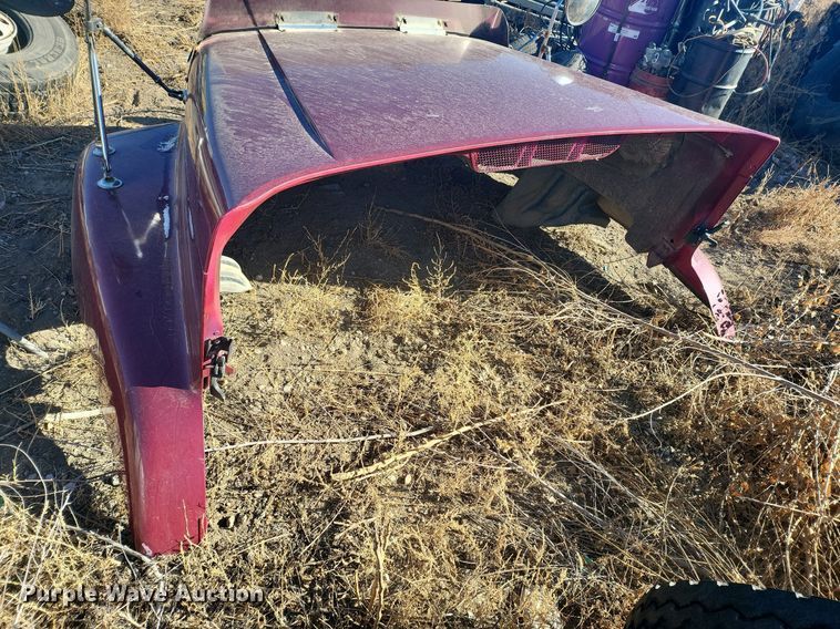 image for item IU9899 Freightliner hood