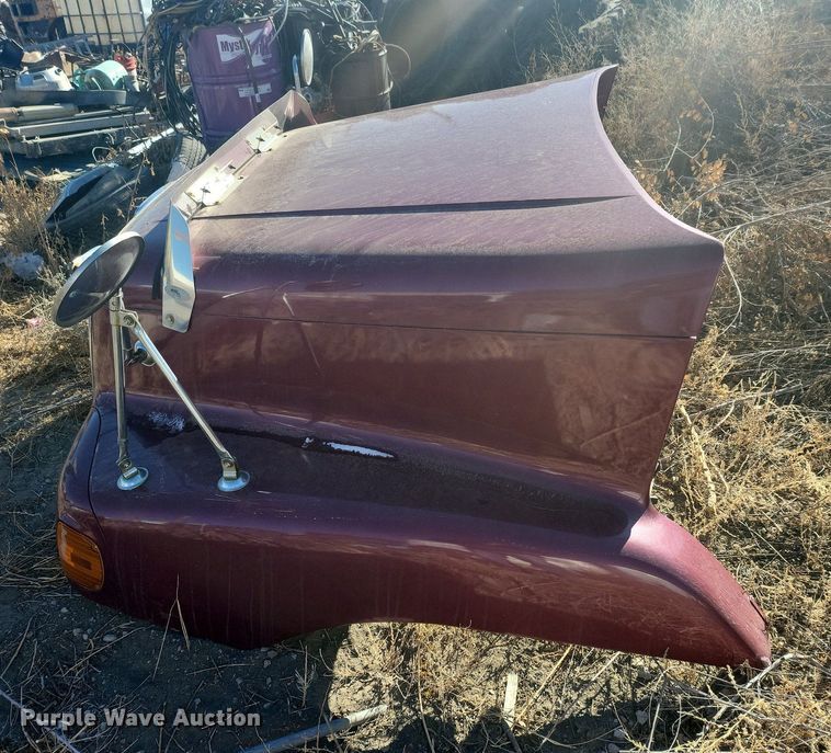 image for item IU9899 Freightliner hood