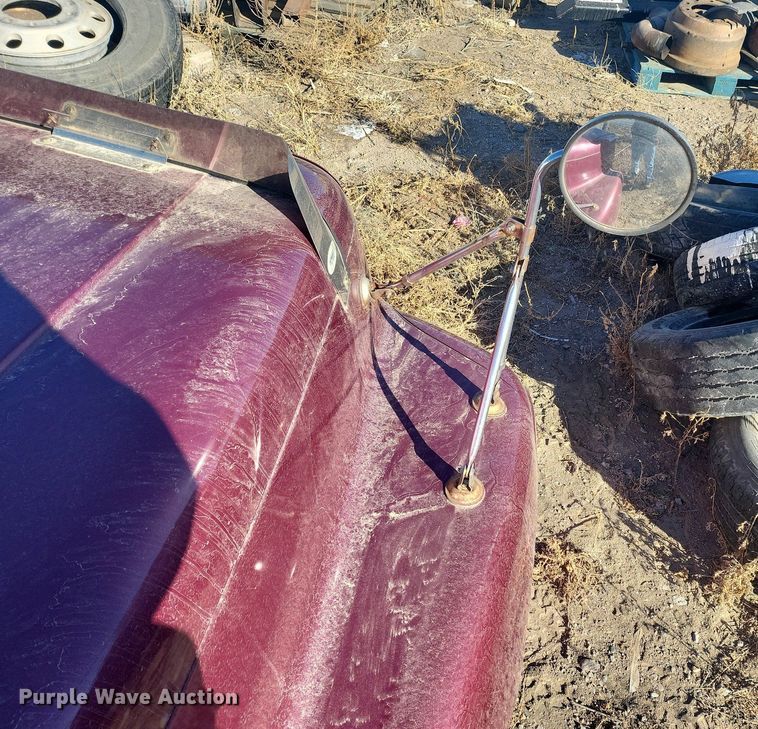 image for item IU9899 Freightliner hood