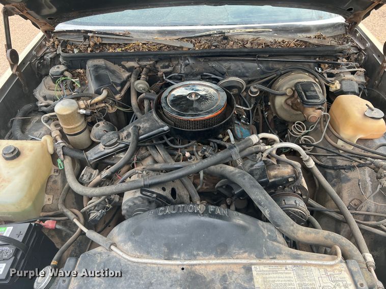 image for item DO8971 1981 GMC Caballero