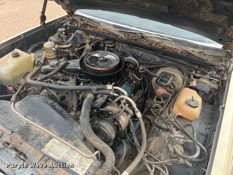 image for item DO8971 1981 GMC Caballero