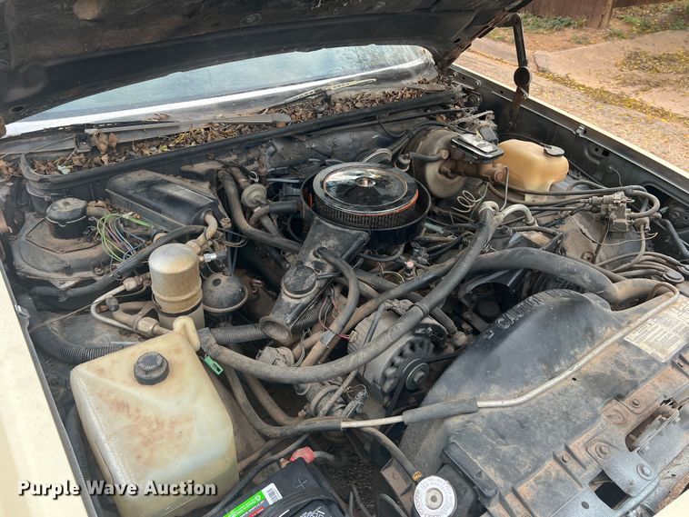 image for item DO8971 1981 GMC Caballero