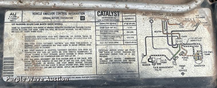 image for item DO8971 1981 GMC Caballero