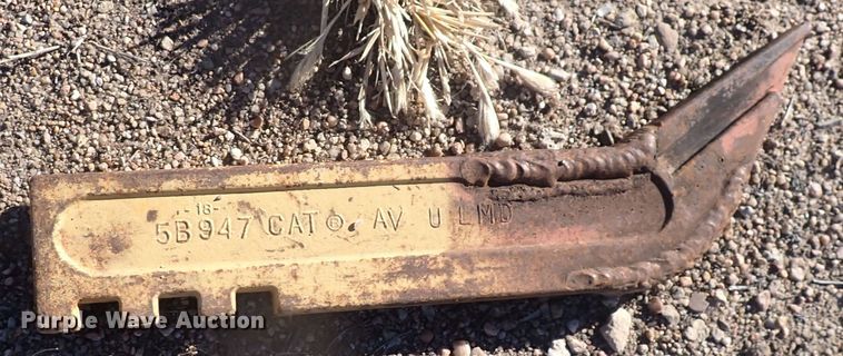 image for item DI1998 (11) scarifer teeth