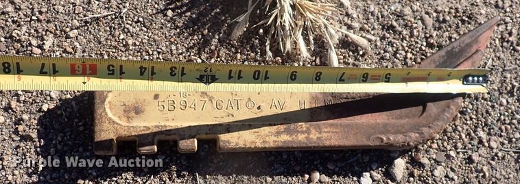 image for item DI1998 (11) scarifer teeth