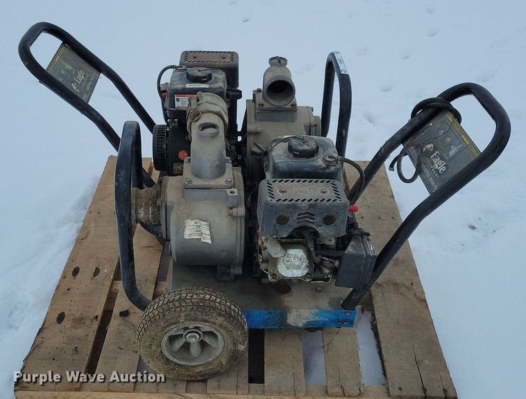 image for item IO9321 (2) Eagle TP300 trash pumps