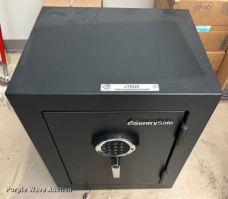 image for item LT9325 SentrySafe  safe