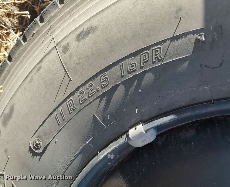 image for item MM9989 2006 Blue Bird  school bus