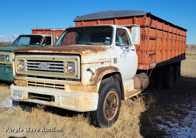 image for item LG9479 1973 Chevrolet C60  grain truck