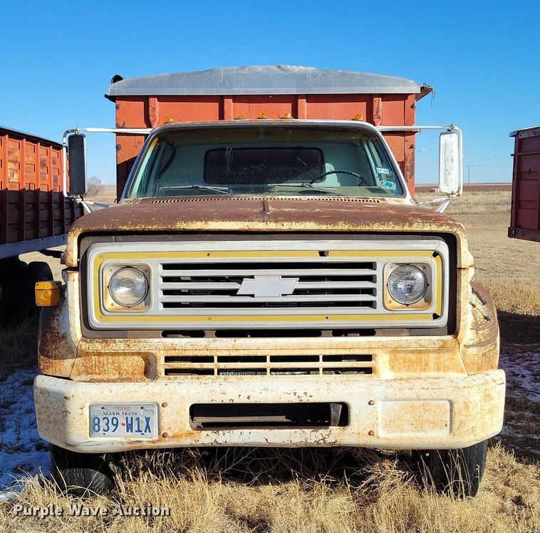 image for item LG9479 1973 Chevrolet C60  grain truck