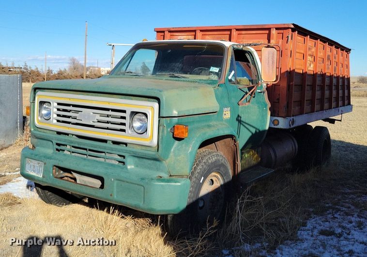 image for item LG9480 1974 Chevrolet C60  grain truck