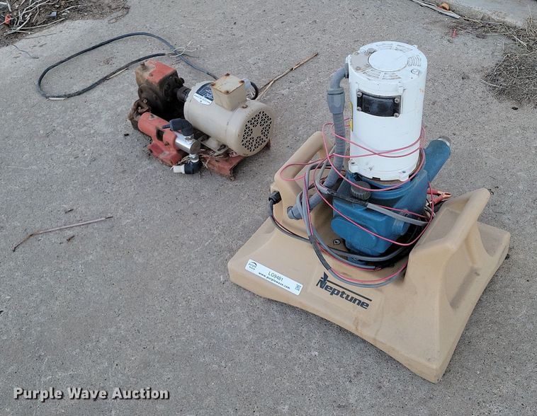 image for item LG9481 Pumps