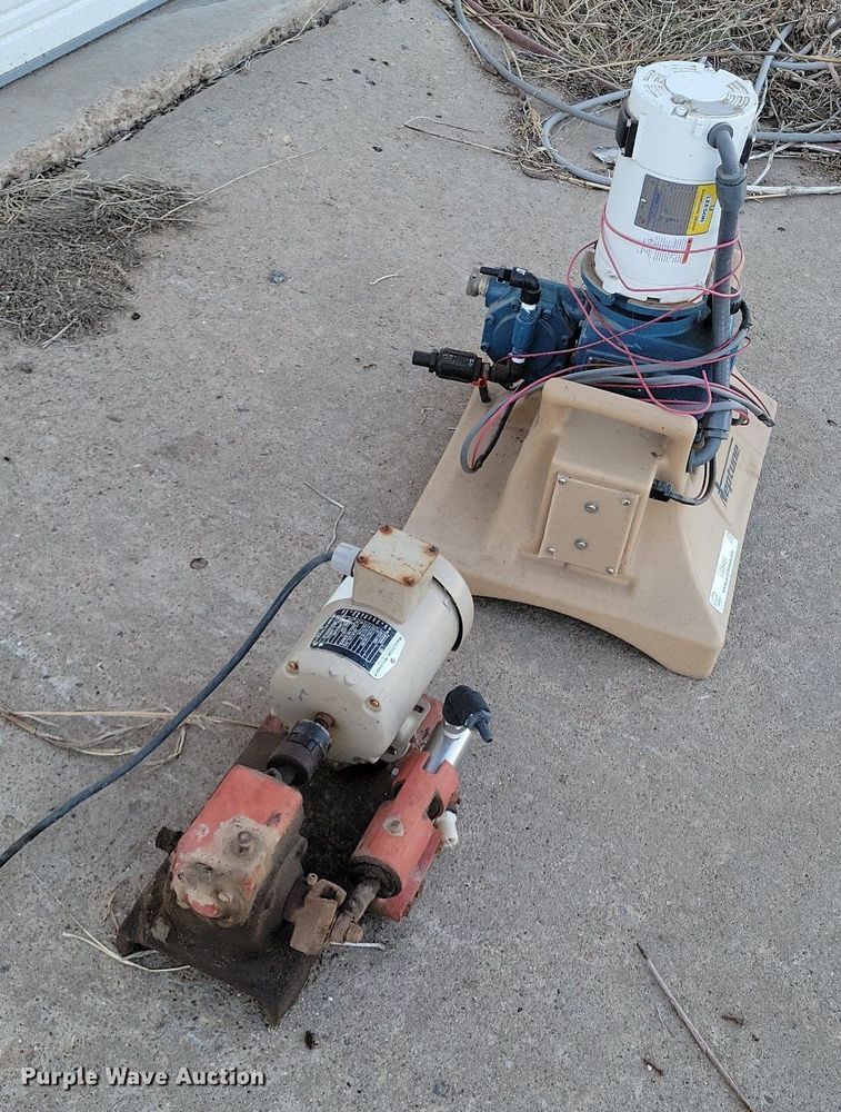 image for item LG9481 Pumps