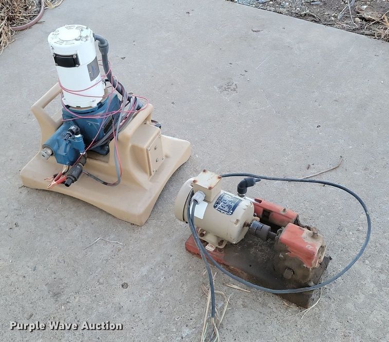 image for item LG9481 Pumps