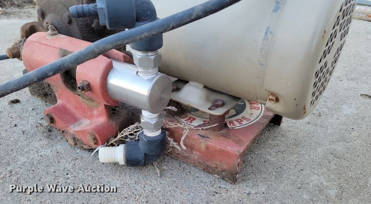 image for item LG9481 Pumps