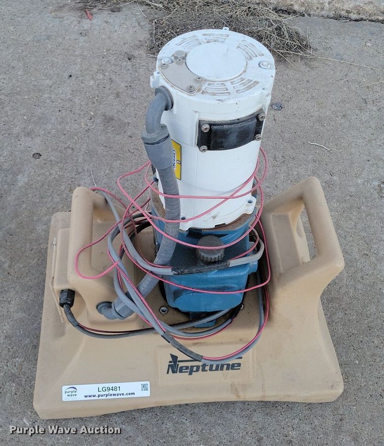 image for item LG9481 Pumps