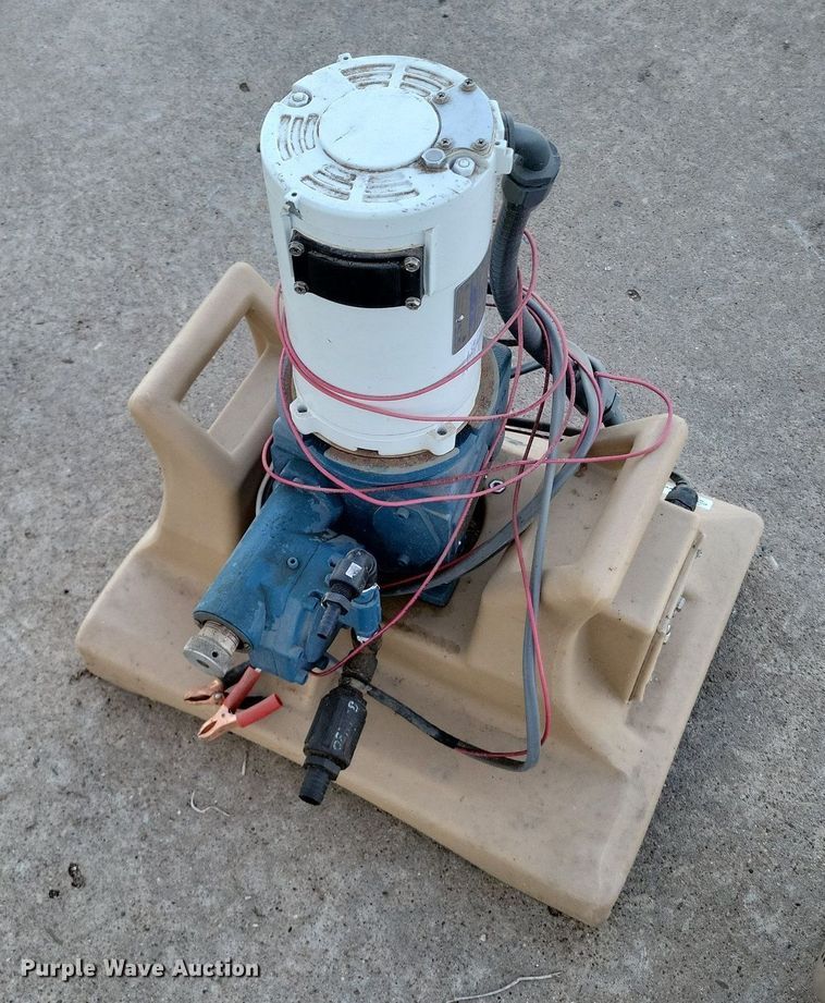 image for item LG9481 Pumps