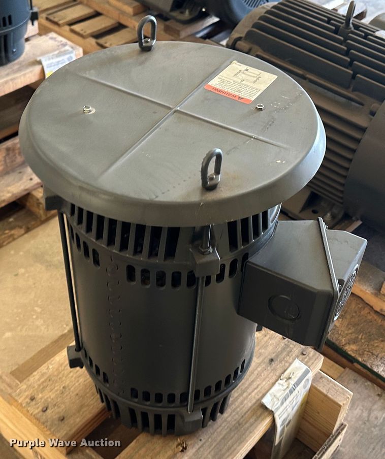 image for item LT9393 (10) electric motors