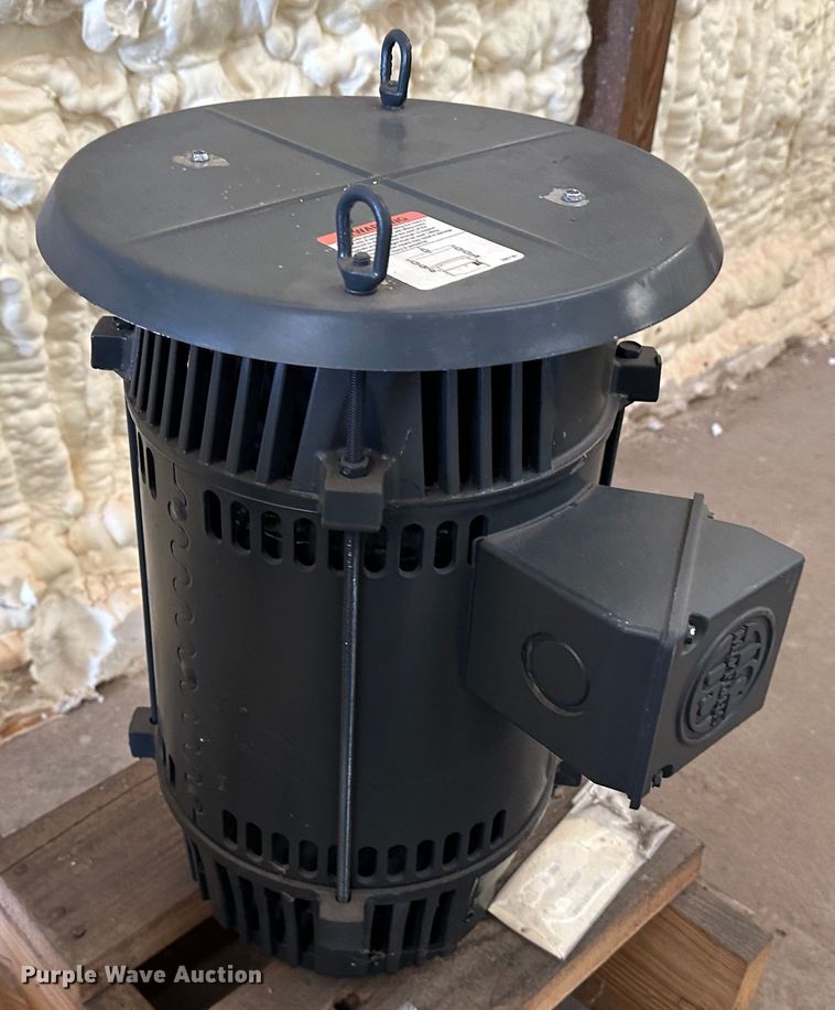 image for item LT9393 (10) electric motors