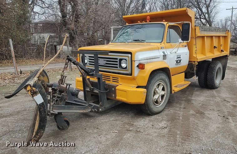 image for item DO3781 1978 Chevrolet C65  dump truck