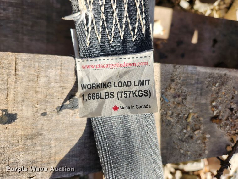 image for item KT9377 Cargo Ease  hoist