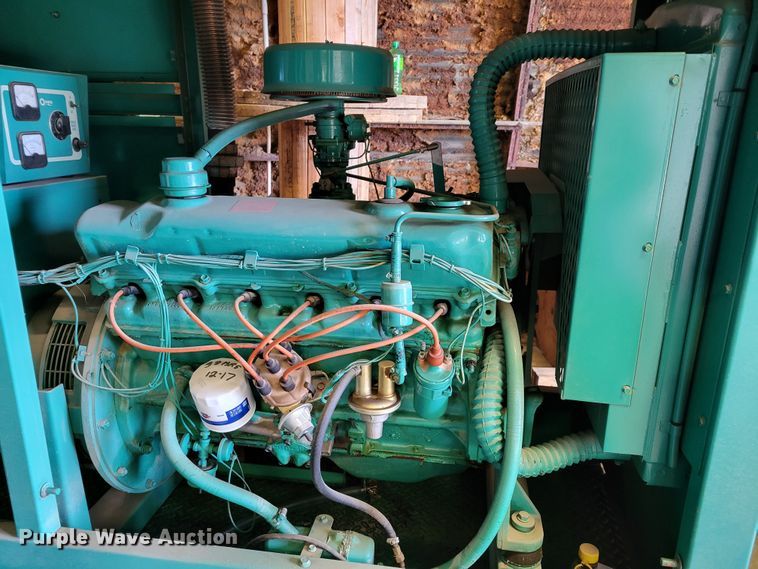 image for item LX9301 2010 Onan 30SK  generator