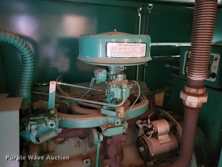 image for item LX9301 2010 Onan 30SK  generator