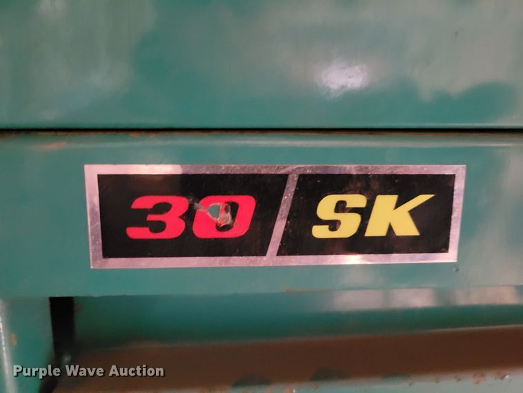 image for item LX9301 2010 Onan 30SK  generator