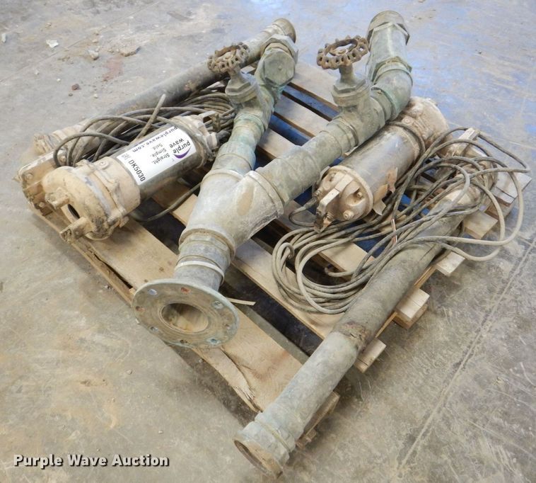 image for item DK5030 (2) pumps