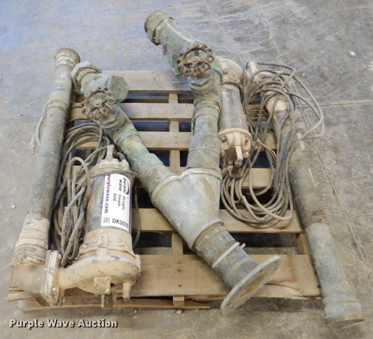 image for item DK5030 (2) pumps