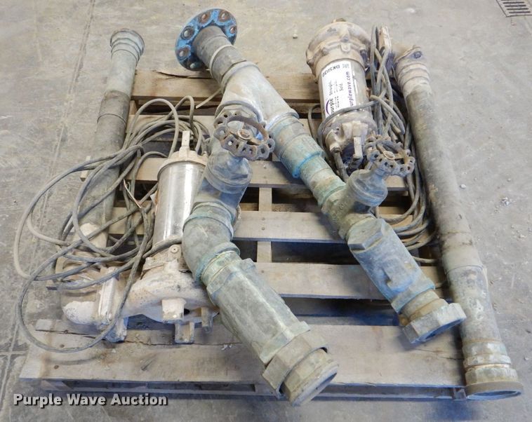 image for item DK5030 (2) pumps