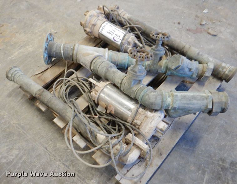 image for item DK5030 (2) pumps