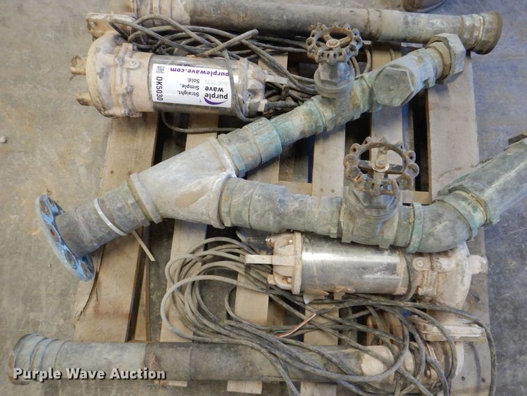 image for item DK5030 (2) pumps