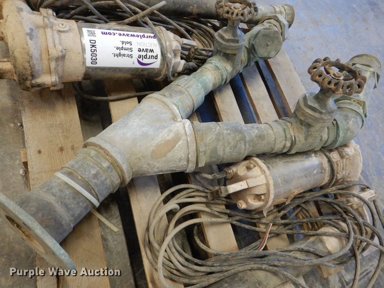 image for item DK5030 (2) pumps