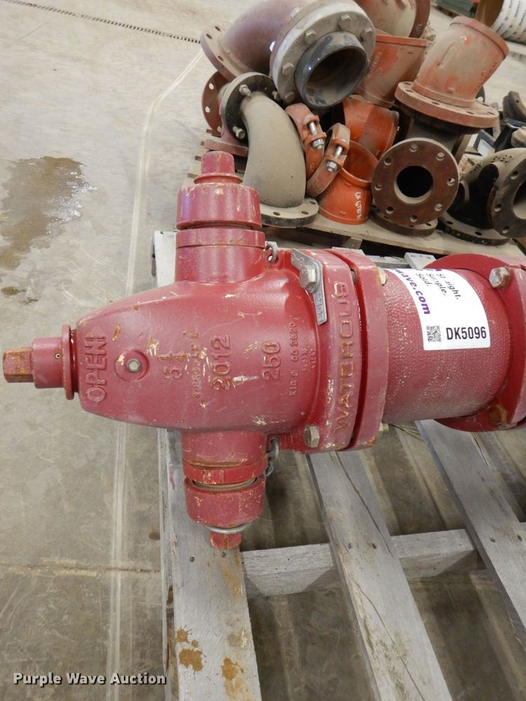 image for item DK5096 2012 Waterous  fire hydrant