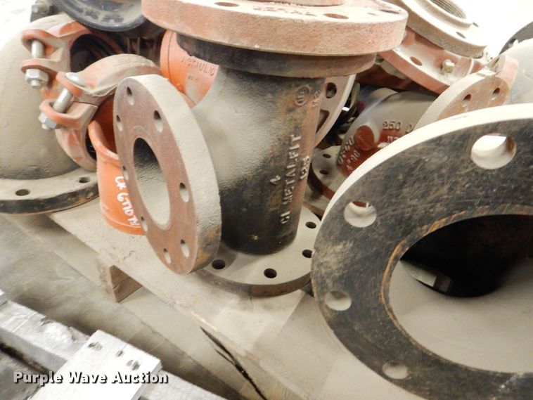 image for item DK5096 2012 Waterous  fire hydrant