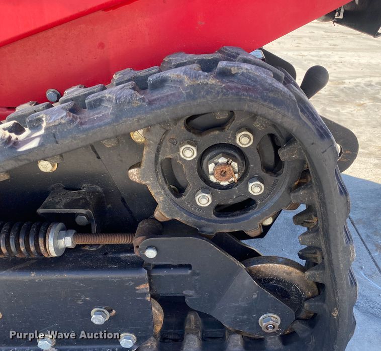 image for item DN8196 Barreto 30-SG  stump grinder