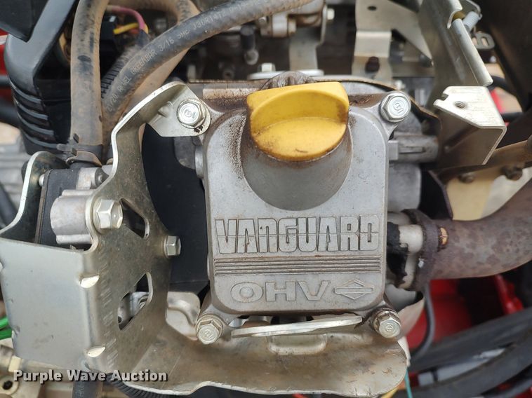 image for item LG9542 Barreto 30-SG  stump grinder