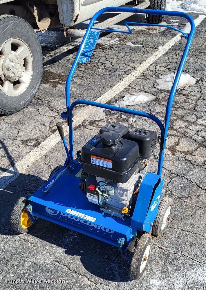 image for item LR9175 Blue Bird  power rake