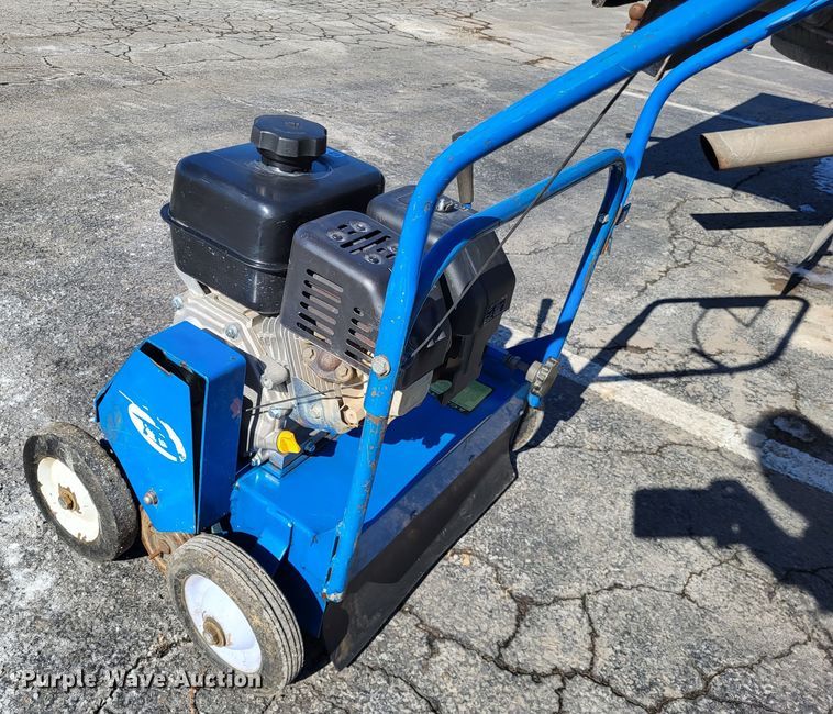 image for item LR9175 Blue Bird  power rake