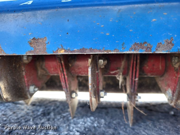 image for item LR9175 Blue Bird  power rake