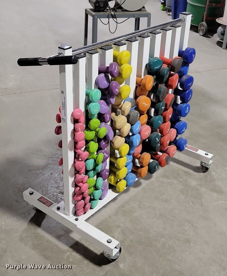 image for item IO9384 York  dumbbells