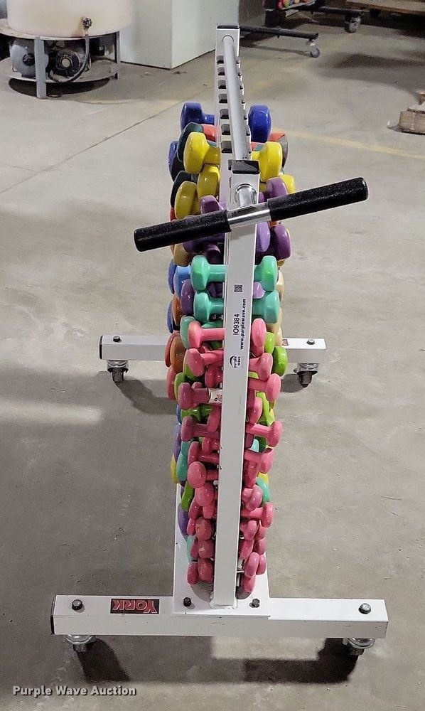 image for item IO9384 York  dumbbells