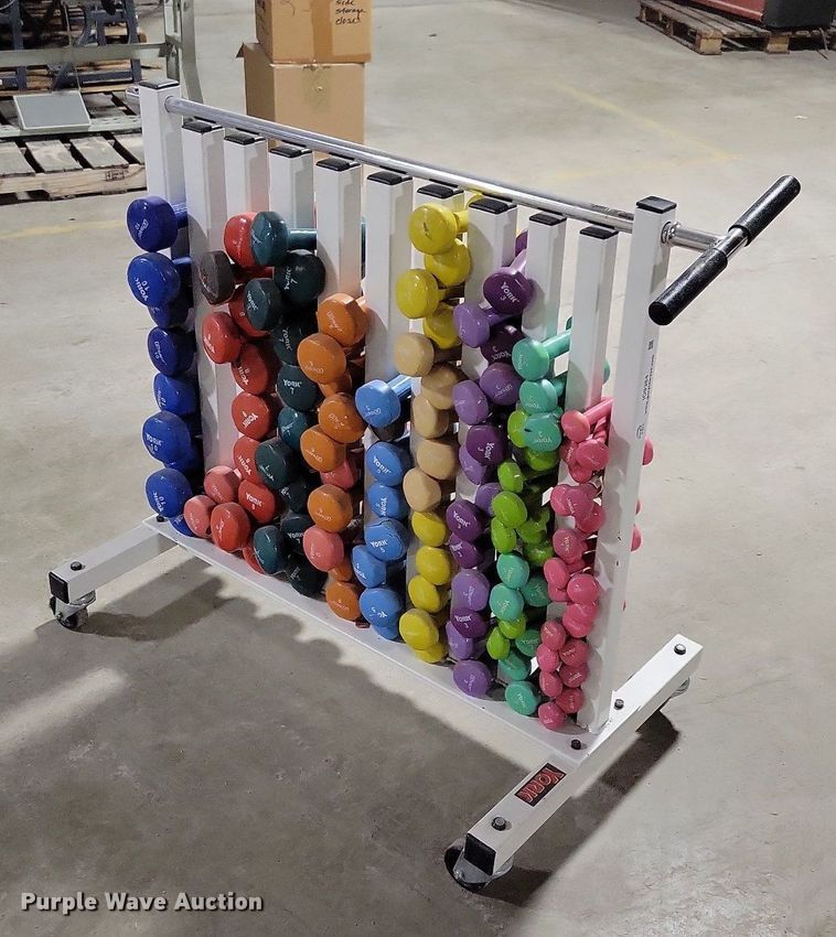 image for item IO9384 York  dumbbells