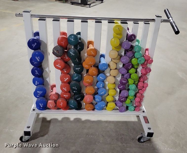 image for item IO9384 York  dumbbells