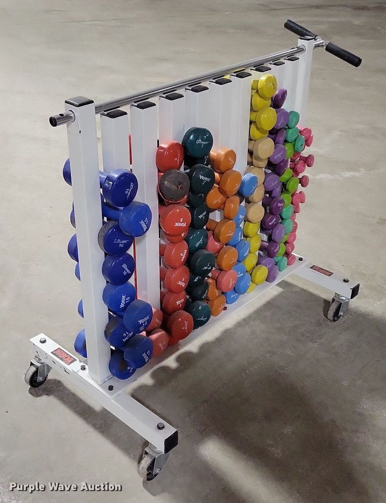 image for item IO9384 York  dumbbells