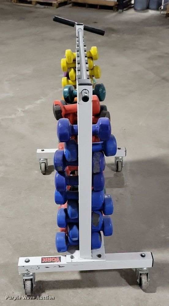 image for item IO9384 York  dumbbells