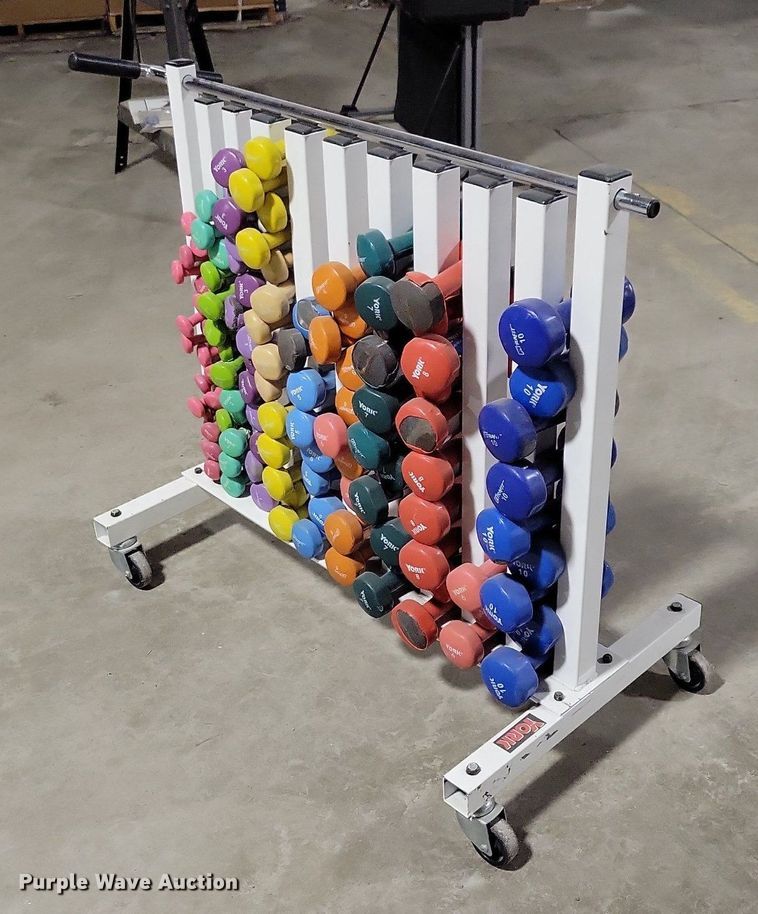 image for item IO9384 York  dumbbells