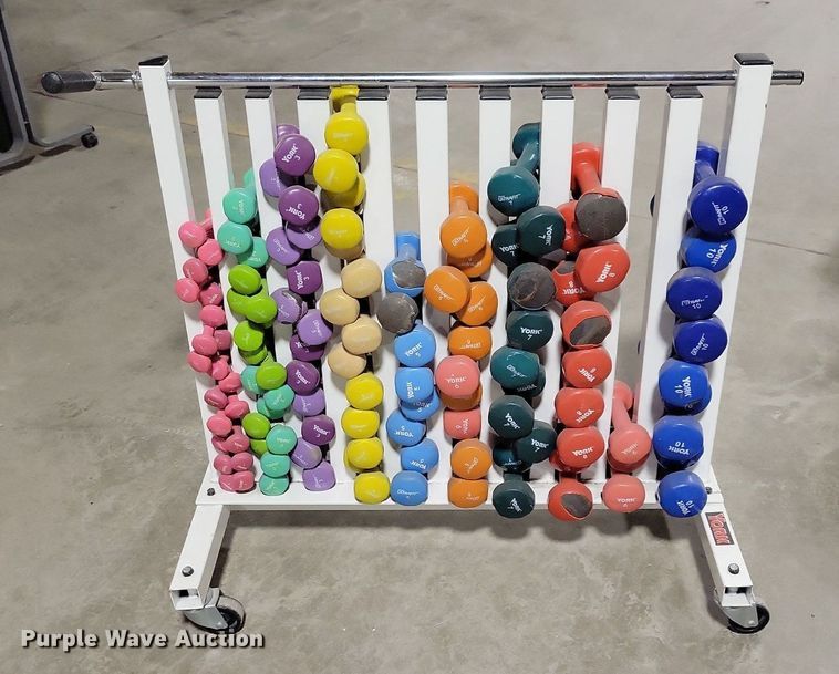 image for item IO9384 York  dumbbells