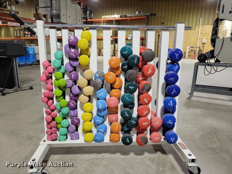 image for item IO9384 York  dumbbells